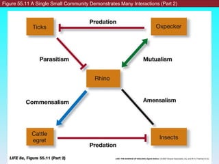 Figure 55.11 A Single Small Community Demonstrates Many Interactions (Part 2) 