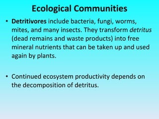 Detritivores  include bacteria, fungi, worms, mites, and many insects. They transform  detritus  (dead remains and waste products) into free mineral nutrients that can be taken up and used again by plants. Continued ecosystem productivity depends on the decomposition of detritus. Ecological Communities 
