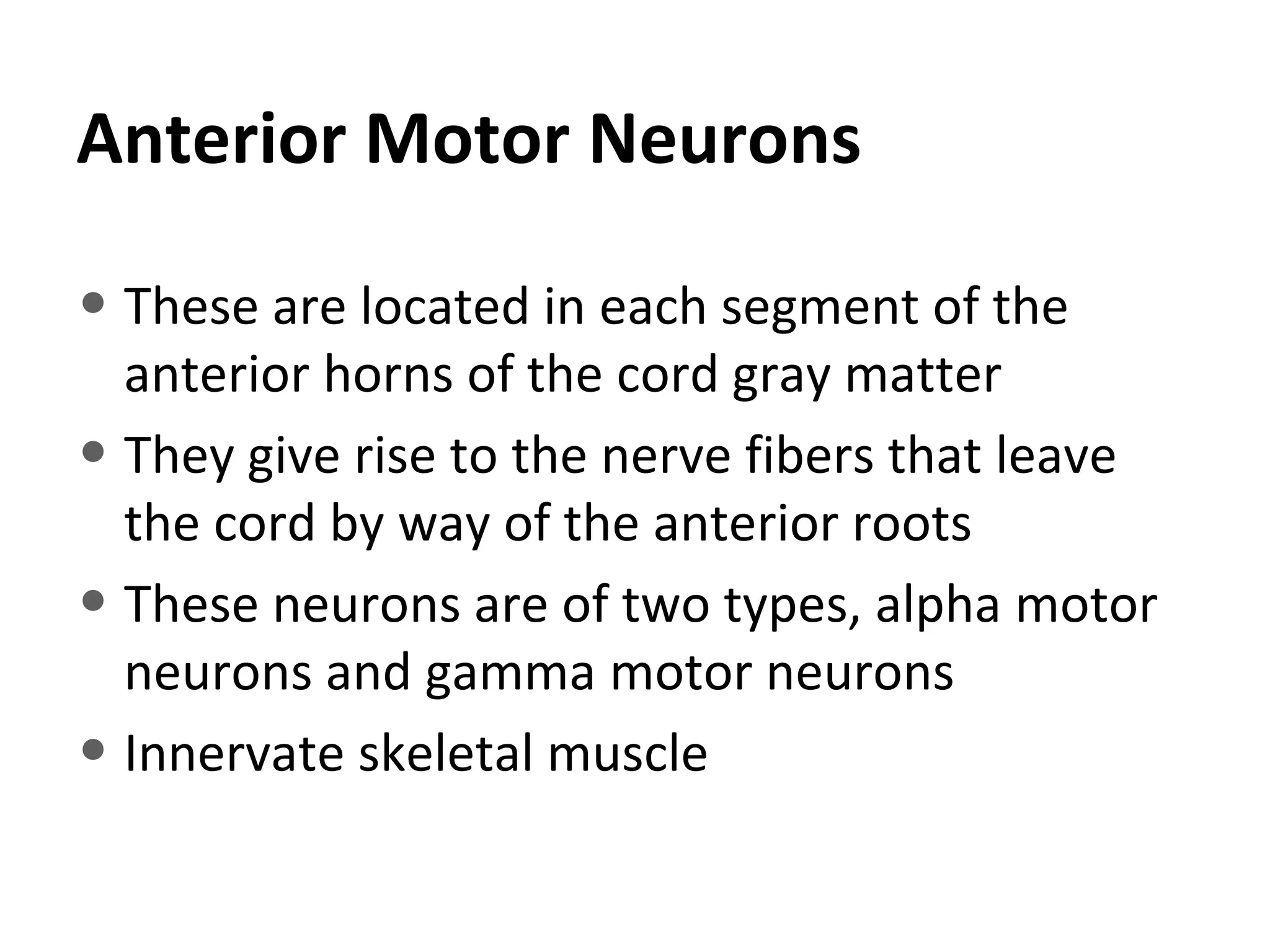 Chapter 55 Part 1Motor Functions of the spinal .pptcord.pdf
