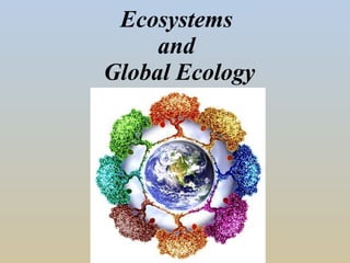 Ecosystems  and  Global Ecology 