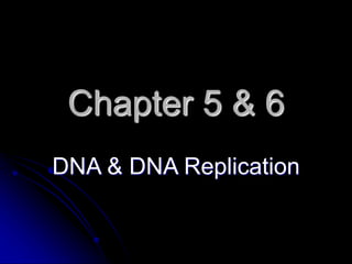 Chapter 5 & 6
DNA & DNA Replication
 