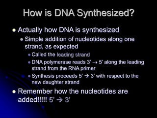 Chapter 5 & 6 - DNA & DNA Replication.ppt