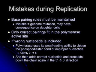 Incorrect Dna Replication Chapter 5 & 6 - DNA & DNA Replication.ppt