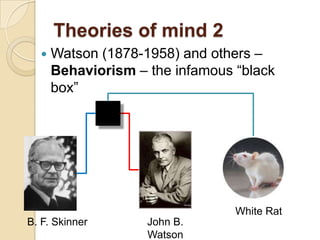 Theories of mind 2Watson (1878-1958) and others – Behaviorism – the infamous “black box” White RatB. F. SkinnerJohn B. Watson