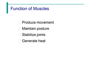 Function of Muscles
Produce movement
Maintain posture
Stabilize joints
Generate heat
 