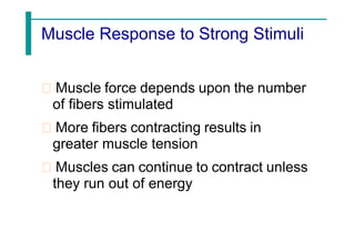 Muscle Response to Strong Stimuli
Muscle force depends upon the number
of fibers stimulated
More fibers contracting results in
greater muscle tension
Muscles can continue to contract unless
they run out of energy
 