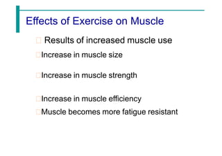 Effects of Exercise on Muscle
Results of increased muscle use
Increase in muscle size
Increase in muscle strength
Increase in muscle efficiency
Muscle becomes more fatigue resistant
 