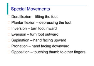 Special Movements
Dorsiflexion – lifting the foot
Plantar flexion – depressing the foot
Inversion – turn foot inward
Eversion – turn foot outward
Supination – hand facing upward
Pronation – hand facing downward
Opposition – touching thumb to other fingers
 