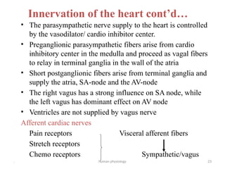 Chapter 5b- Heart & blood vessels (1).pptx