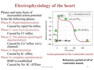 Cardiac Rmp Chapter 5b- Heart & blood vessels (1).pptx