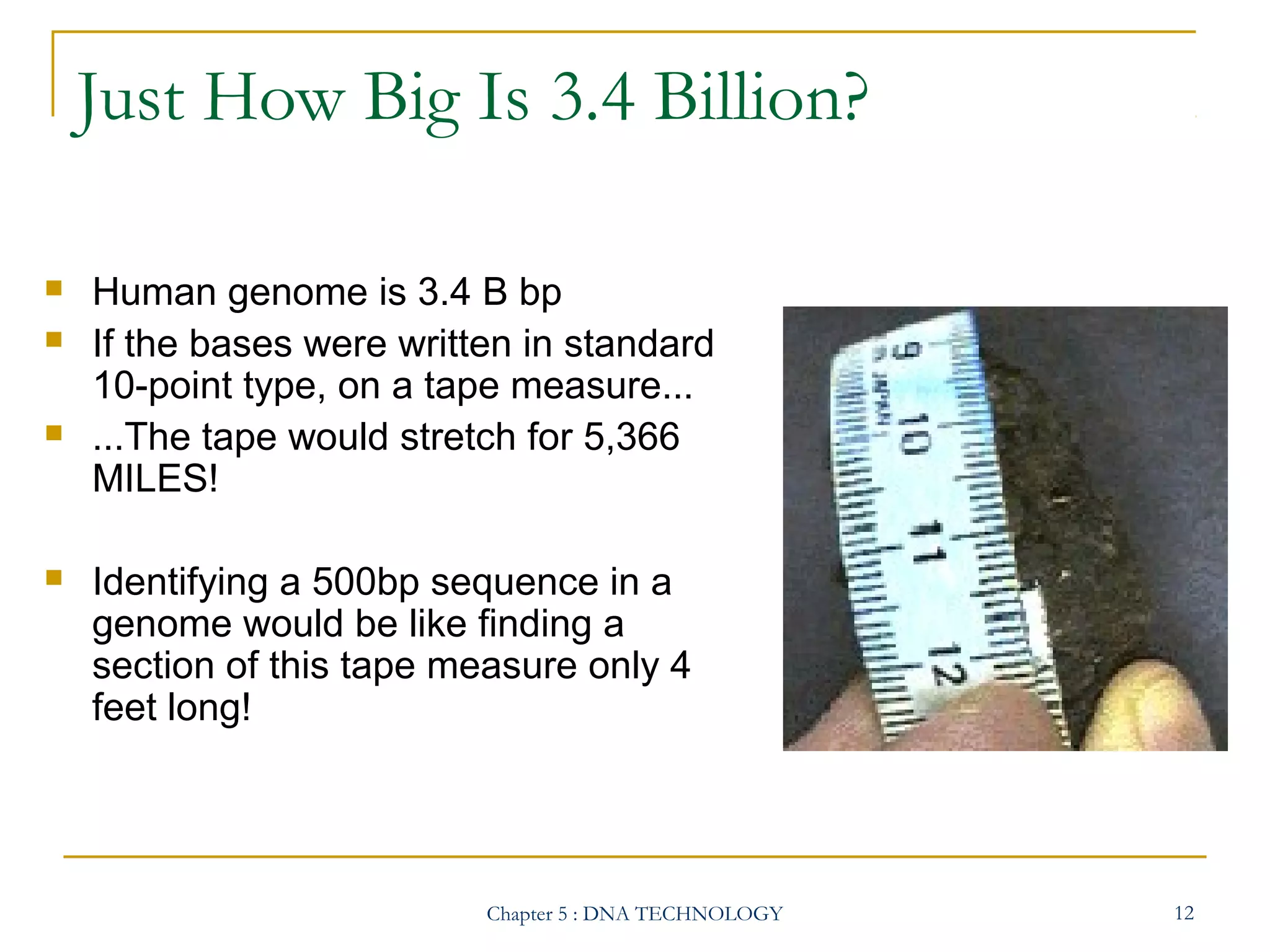 Just How Big Is 3.4 Billion?







Human genome is 3.4 B bp
If the bases were written in standard
10-point type, on a tape measure...
...The tape would stretch for 5,366
MILES!
Identifying a 500bp sequence in a
genome would be like finding a
section of this tape measure only 4
feet long!

Chapter 5 : DNA TECHNOLOGY

12

 