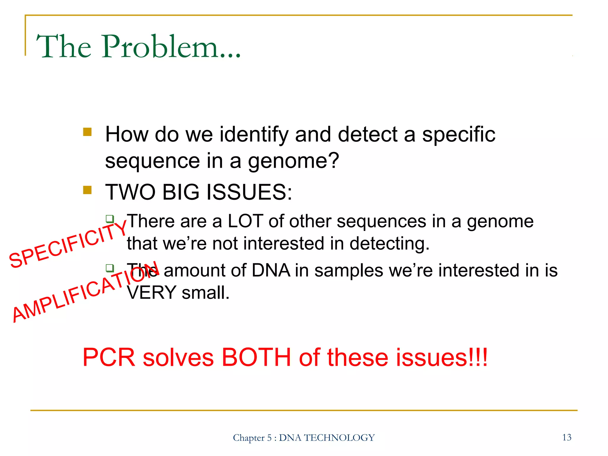 The Problem...




How do we identify and detect a specific
sequence in a genome?
TWO BIG ISSUES:


There are a LOT of other sequences in a genome

Y
ICIT that we’re not interested in detecting.
ECIF
SP
 The amount of DNA in samples we’re interested in is
ION
TVERY small.
A
FIC
PLI
AM

PCR solves BOTH of these issues!!!
Chapter 5 : DNA TECHNOLOGY

13

 