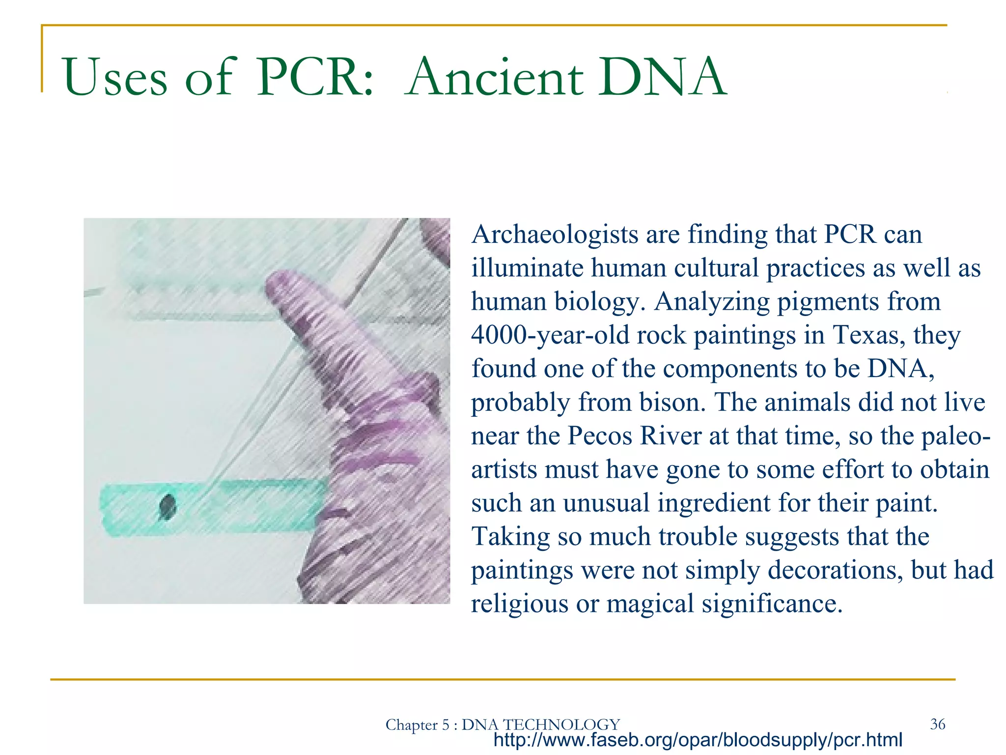 Uses of PCR: Ancient DNA
Archaeologists are finding that PCR can
illuminate human cultural practices as well as
human biology. Analyzing pigments from
4000-year-old rock paintings in Texas, they
found one of the components to be DNA,
probably from bison. The animals did not live
near the Pecos River at that time, so the paleoartists must have gone to some effort to obtain
such an unusual ingredient for their paint.
Taking so much trouble suggests that the
paintings were not simply decorations, but had
religious or magical significance.

Chapter 5 : DNA TECHNOLOGY

http://www.faseb.org/opar/bloodsupply/pcr.html

36

 