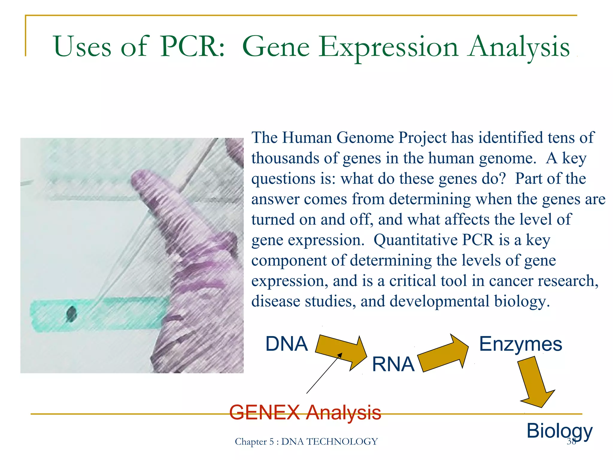 Uses of PCR: Gene Expression Analysis
The Human Genome Project has identified tens of
thousands of genes in the human genome. A key
questions is: what do these genes do? Part of the
answer comes from determining when the genes are
turned on and off, and what affects the level of
gene expression. Quantitative PCR is a key
component of determining the levels of gene
expression, and is a critical tool in cancer research,
disease studies, and developmental biology.

DNA

RNA

GENEX Analysis
Chapter 5 : DNA TECHNOLOGY

Enzymes

Biology
38

 