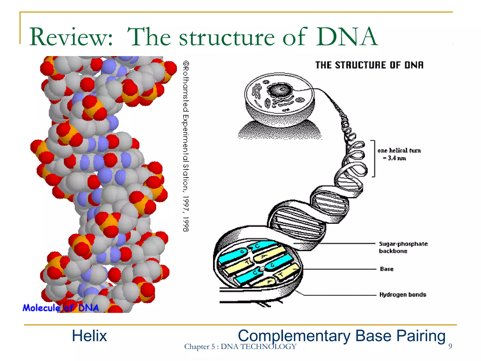 Review: The structure of DNA

Helix

Complementary Base Pairing 9

Chapter 5 : DNA TECHNOLOGY

 