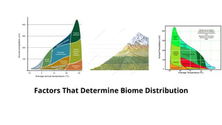 Chapter 5 Biomes. Global Patterns of Life.pptx