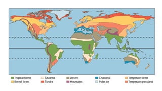 Chapter 5 Biomes. Global Patterns of Life.pptx