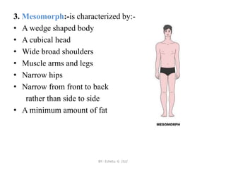 chapter 5 body composition.pptx