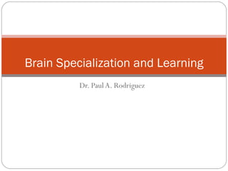 Dr. Paul A. Rodriguez Brain Specialization and Learning 