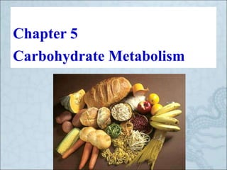 Chapter 5
Carbohydrate Metabolism
 