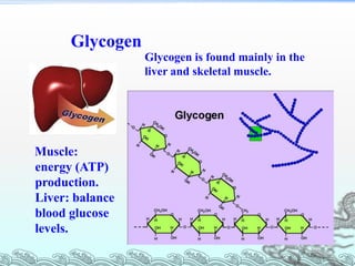 Chapter 5 Carbohydrate Metabolism-I.ppt