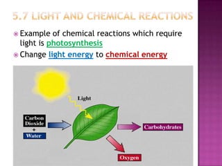  Example

of chemical reactions which require
light is photosynthesis
 Change light energy to chemical energy

 
