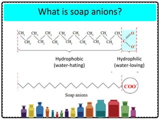 What is soap anions?
Hydrophobic
(water-hating)
Hydrophilic
(water-loving)
 