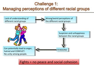 Lack of understanding of different racial groups Wrong/weird perceptions of the different racial groups Suspicion and unhappiness between the racial groups TENSIONS Can potentially lead to anger, hatred and CONFLICT. No unity among people.  Fights = no peace and social cohesion 