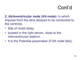 Cont’d
2. Atrioventricular node (AV-node): in which
impulse from the atria delayed to be conducted to
the ventricle.
• Site of nodal delay
• located in the right atrium, close to the
interventricular septum.
• It is the Potential pacemaker (if SA node fails).
16
 