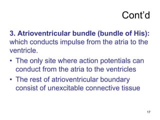 Cont’d
3. Atrioventricular bundle (bundle of His):
which conducts impulse from the atria to the
ventricle.
• The only site where action potentials can
conduct from the atria to the ventricles
• The rest of atrioventricular boundary
consist of unexcitable connective tissue
17
 