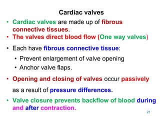 Cardiac valves
• Cardiac valves are made up of fibrous
connective tissues.
• The valves direct blood flow (One way valves)
• Each have fibrous connective tissue:
• Prevent enlargement of valve opening
• Anchor valve flaps.
• Opening and closing of valves occur passively
as a result of pressure differences.
• Valve closure prevents backflow of blood during
and after contraction.
21
 