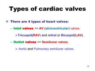 Types of cardiac valves
 There are 4 types of heart valves:
– Inlet valves => AV (atrioventricular) valves.
Tricuspid(RAV) and mitral or Bicuspid(LAV).
– Outlet valves => Semilunar valves.
 Aortic and Pulmonary semilunar valves.
22
 