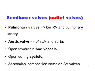 Semilunar valves (outlet valves)
• Pulmonary valves => b/n RV and pulmonary
artery.
• Aortic valve => b/n LV and aorta.
• Open towards blood vessels.
• Open during systole.
• Anatomical composition same as AV valves. 24
 