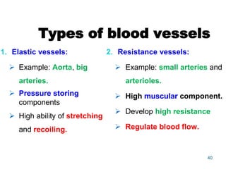 Types of blood vessels
1. Elastic vessels:
 Example: Aorta, big
arteries.
 Pressure storing
components
 High ability of stretching
and recoiling.
2. Resistance vessels:
 Example: small arteries and
arterioles.
 High muscular component.
 Develop high resistance
 Regulate blood flow.
40
 