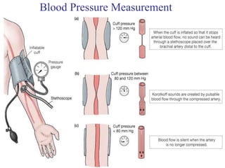Blood Pressure Measurement
 