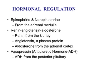 HORMONAL REGULATION
• Epinephrine & Norepinephrine
– From the adrenal medulla
• Renin-angiotensin-aldosterone
– Renin from the kidney
– Angiotensin, a plasma protein
– Aldosterone from the adrenal cortex
• Vasopressin (Antidiuretic Hormone-ADH)
– ADH from the posterior pituitary
 