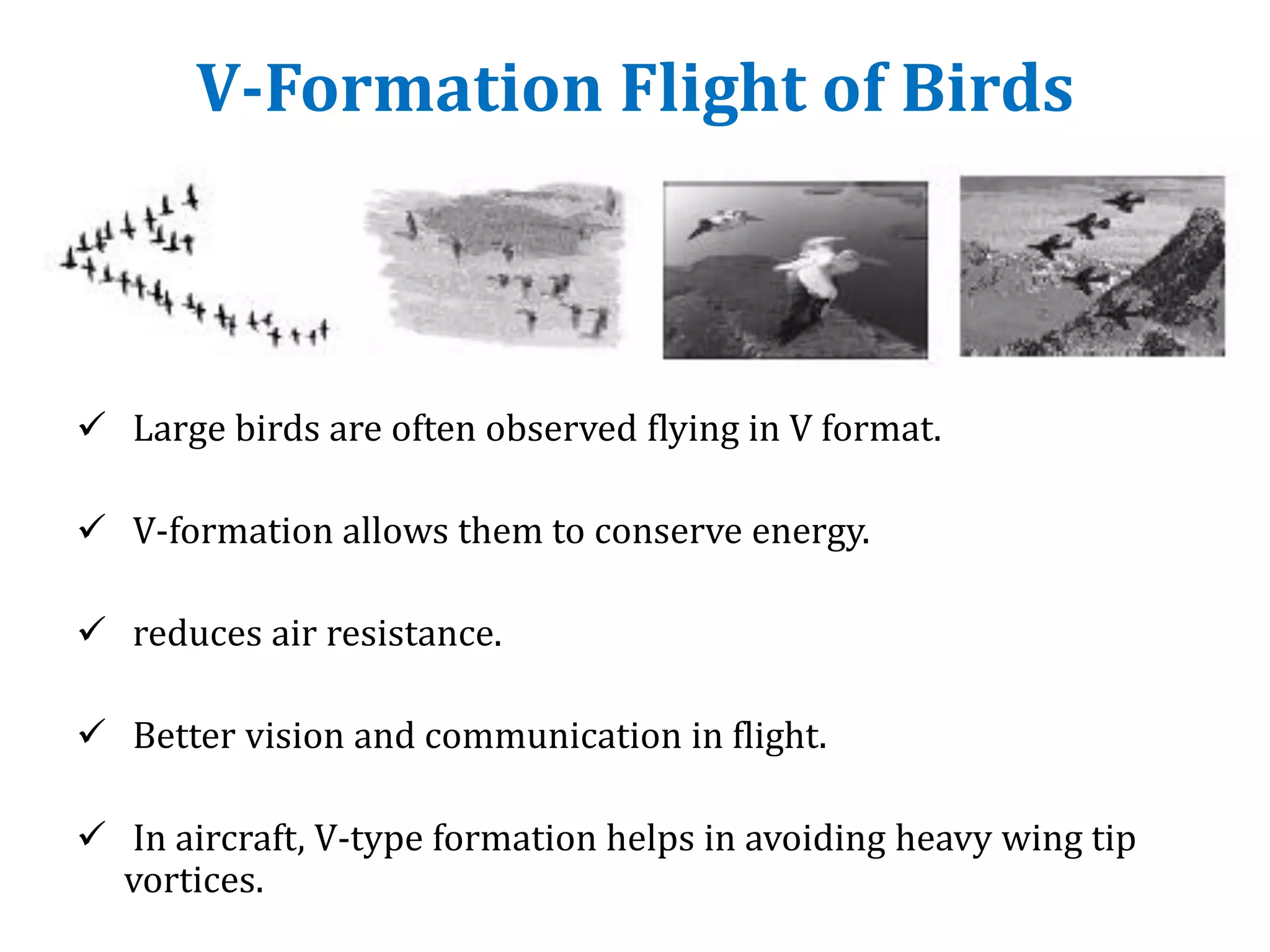 V-Formation Flight of Birds
 Large birds are often observed flying in V format.
 V-formation allows them to conserve energy.
 reduces air resistance.
 Better vision and communication in flight.
 In aircraft, V-type formation helps in avoiding heavy wing tip
vortices.
 