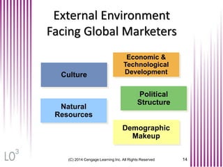 (C) 2014 Cengage Learning Inc. All Rights Reserved 14
External Environment
Facing Global Marketers
Natural
Resources
Demographic
Makeup
Economic &
Technological
DevelopmentCulture
Political
Structure
3
 
