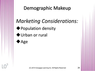 (C) 2014 Cengage Learning Inc. All Rights Reserved 26
Demographic Makeup
Marketing Considerations:
Population density
Urban or rural
Age
3
 