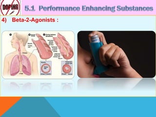 4) Beta-2-Agonists :
 