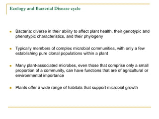 Ecology and Bacterial Disease cycle
 Bacteria: diverse in their ability to affect plant health, their genotypic and
phenotypic characteristics, and their phylogeny
 Typically members of complex microbial communities, with only a few
establishing pure clonal populations within a plant
 Many plant-associated microbes, even those that comprise only a small
proportion of a community, can have functions that are of agricultural or
environmental importance
 Plants offer a wide range of habitats that support microbial growth
 