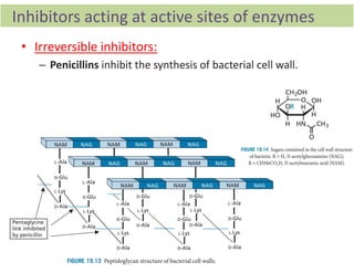 Chapter 5_Enzymes and Receptors as Drug targets.pdf