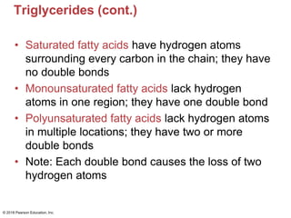 Triglycerides (cont.)
• Saturated fatty acids have hydrogen atoms
surrounding every carbon in the chain; they have
no double bonds
• Monounsaturated fatty acids lack hydrogen
atoms in one region; they have one double bond
• Polyunsaturated fatty acids lack hydrogen atoms
in multiple locations; they have two or more
double bonds
• Note: Each double bond causes the loss of two
hydrogen atoms
© 2018 Pearson Education, Inc.
 