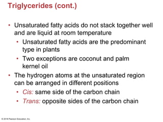 Triglycerides (cont.)
• Unsaturated fatty acids do not stack together well
and are liquid at room temperature
• Unsaturated fatty acids are the predominant
type in plants
• Two exceptions are coconut and palm
kernel oil
• The hydrogen atoms at the unsaturated region
can be arranged in different positions
• Cis: same side of the carbon chain
• Trans: opposite sides of the carbon chain
© 2018 Pearson Education, Inc.
 