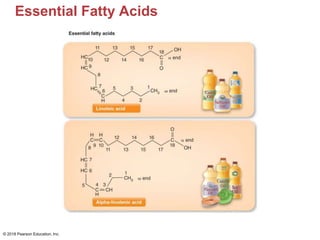 Essential Fatty Acids
© 2018 Pearson Education, Inc.
 