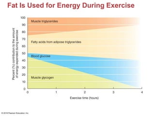 Fat Is Used for Energy During Exercise
© 2018 Pearson Education, Inc.
 