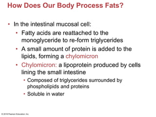 How Does Our Body Process Fats?
• In the intestinal mucosal cell:
• Fatty acids are reattached to the
monoglyceride to re-form triglycerides
• A small amount of protein is added to the
lipids, forming a chylomicron
• Chylomicron: a lipoprotein produced by cells
lining the small intestine
• Composed of triglycerides surrounded by
phospholipids and proteins
• Soluble in water
© 2018 Pearson Education, Inc.
 