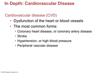 In Depth: Cardiovascular Disease
Cardiovascular disease (CVD)
• Dysfunction of the heart or blood vessels
• The most common forms:
• Coronary heart disease, or coronary artery disease
• Stroke
• Hypertension, or high blood pressure
• Peripheral vascular disease
© 2018 Pearson Education, Inc.
 