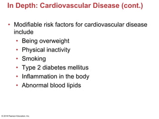 In Depth: Cardiovascular Disease (cont.)
• Modifiable risk factors for cardiovascular disease
include
• Being overweight
• Physical inactivity
• Smoking
• Type 2 diabetes mellitus
• Inflammation in the body
• Abnormal blood lipids
© 2018 Pearson Education, Inc.
 