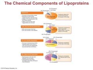 The Chemical Components of Lipoproteins
© 2018 Pearson Education, Inc.
 